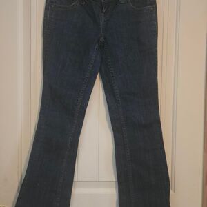 Zd Women's Navy and Blue Jeans